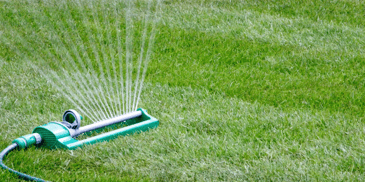 Sprinkler watering the grass 