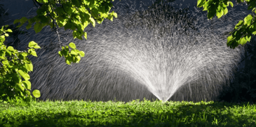 Sprinkler watering the grass 