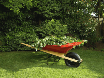 wheelbarrow filled with branches 